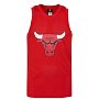 Chicago Bulls Zach LaVine Mesh Jersey Mens