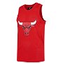 Chicago Bulls Zach LaVine Mesh Jersey Mens