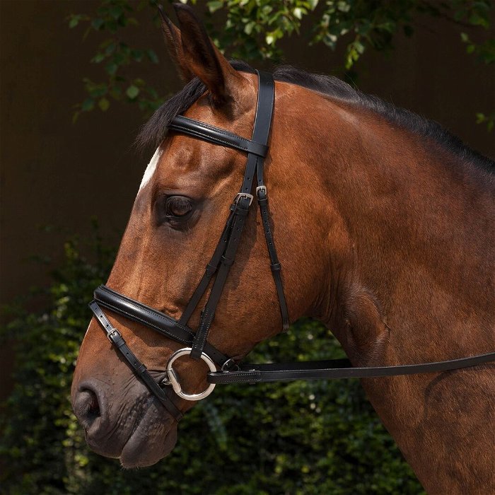 Padded Flash Bridle and Reins