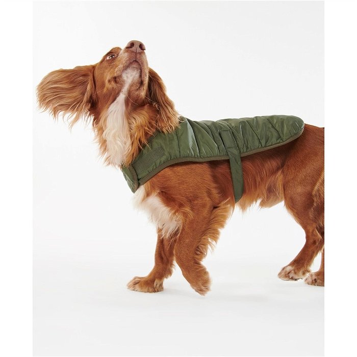 Quilt Dog Coat