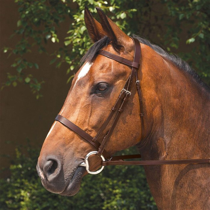 Snaffle Bridle with Reins