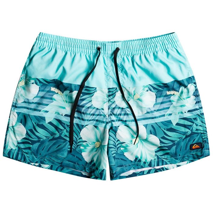 Floral Stripe Swim Shorts Mens