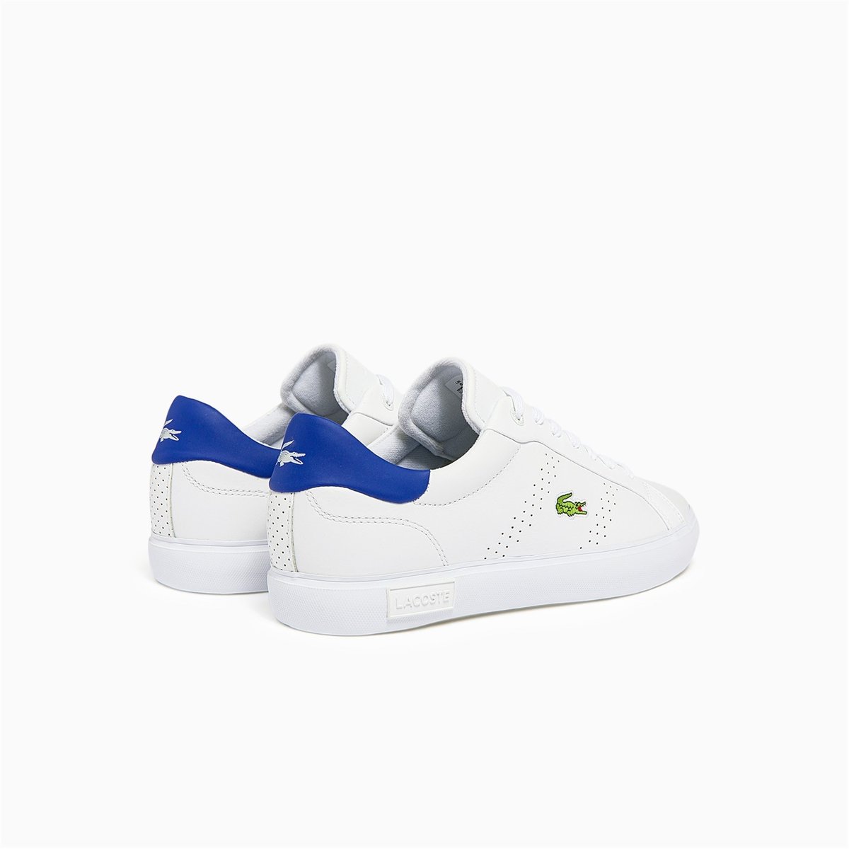 Blue sales lacoste trainers