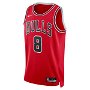 Chicago Bulls Zach Lavine NBA Icon Edition Swingman Jersey