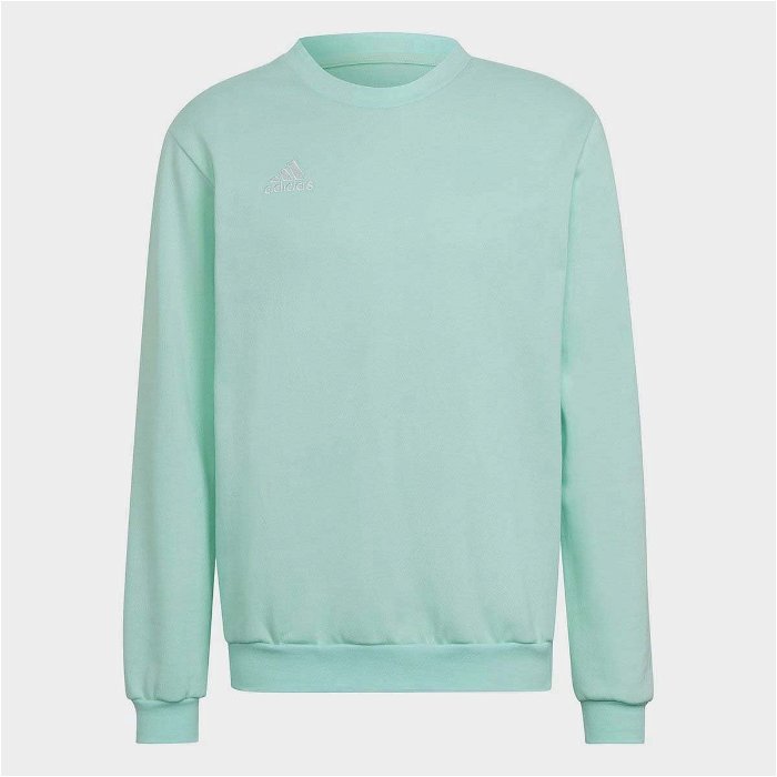 ENT22 Sweatshirt