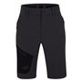 Wanaka Walking Shorts Mens