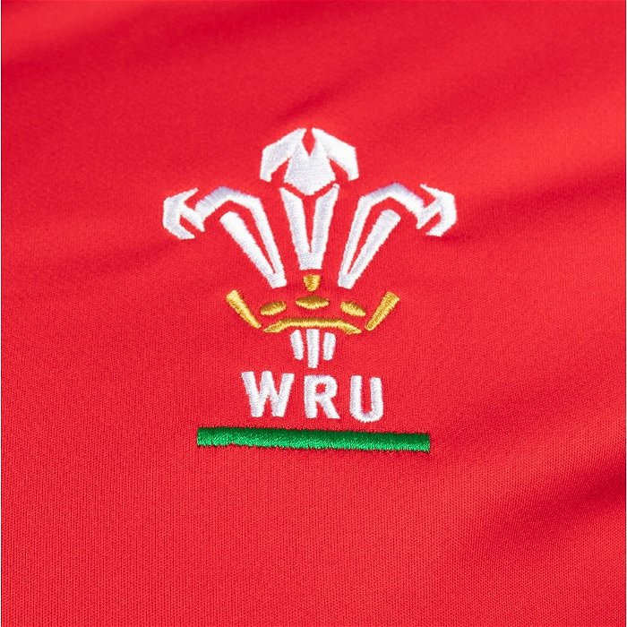 Wales 22/23 Mens Anthem Jacket
