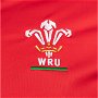 Wales 22/23 Mens Anthem Jacket