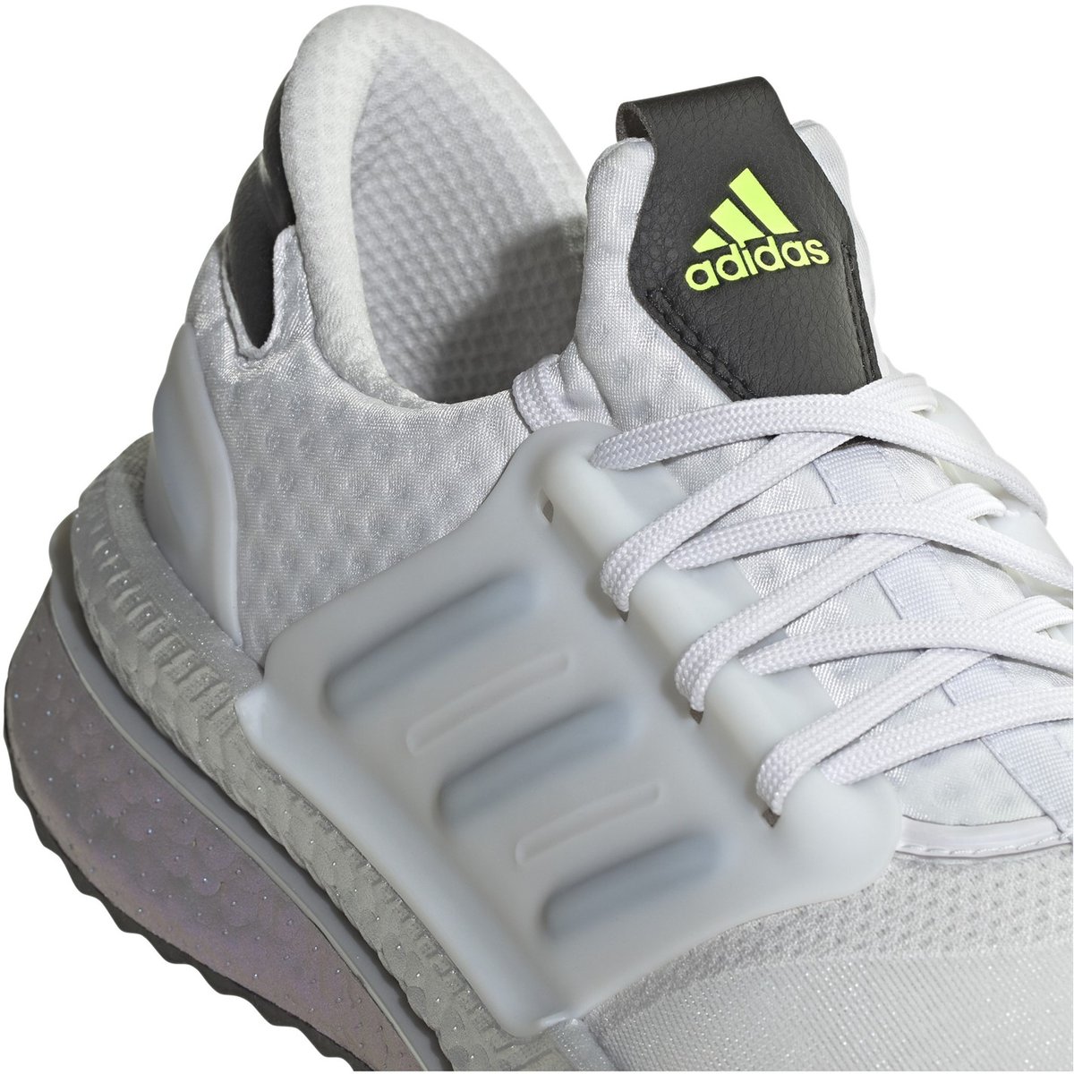 Adidas 2024 xplr blanche