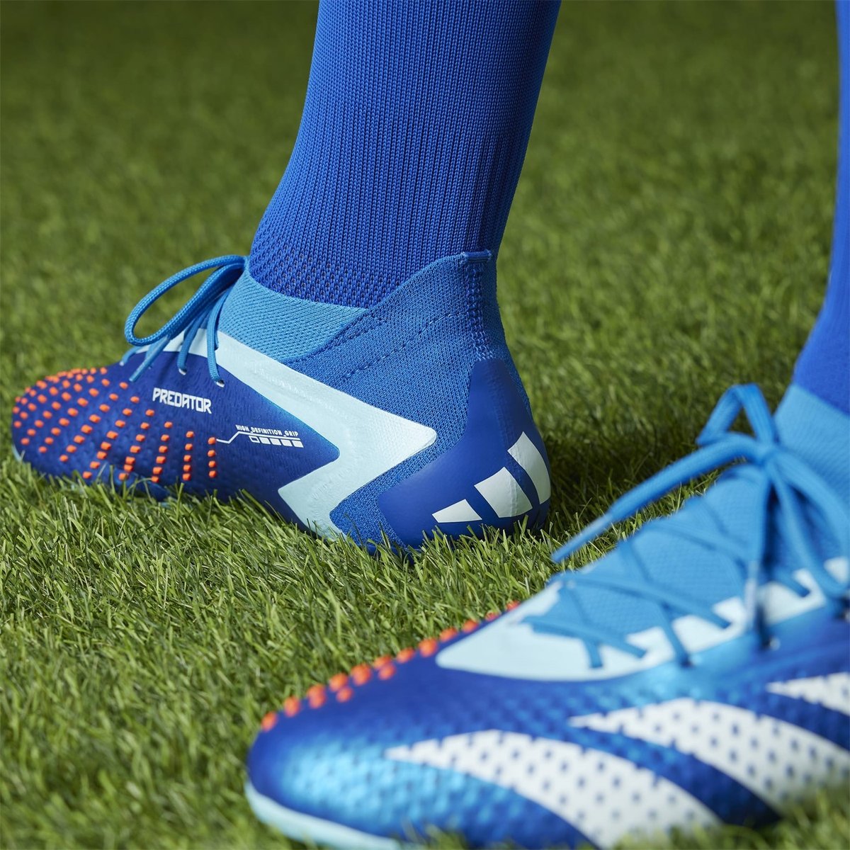 Blue adidas hotsell predator boots