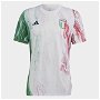 Italy Pre Match Shirt 2023 Adults
