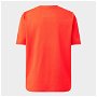 Charlton Athletic Poly T Shirt Junior