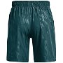 Woven Embossed Shorts Mens