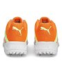 Spike 22.2 Cricket Shoes Adults