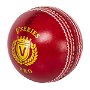 Pro Cricket Ball Mens