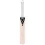 Advance V400 Junior Cricket Bat