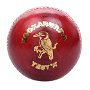 Test Cricket Ball