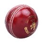 Gold Junior Cricket Ball