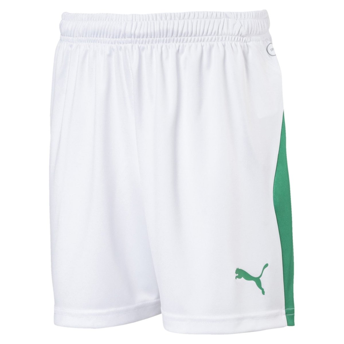 Puma shorts best sale kids green