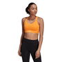 Fastimpact Luxe Run High Support Bra Womens High Impact Sports