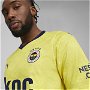 Fenerbahçe SK Away Shirt 2023 2024 Adults