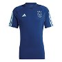 Ajax Training Shirt 2023 2024 Adults