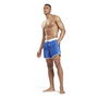 Swim Shorts Mens