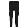 Wales 23/24 Fitted Training Pants Mens