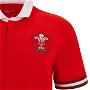 Wales 23/24 Home Classic S/S Shirt Mens