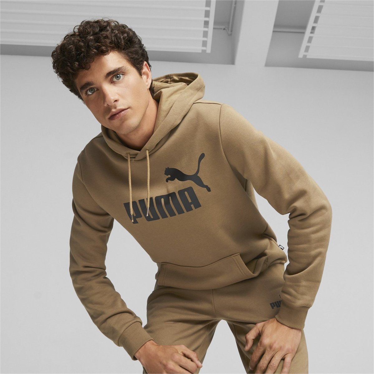 Puma no1 oth hoody mens best sale