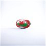 Wales RWC 2023  Flag Ball 