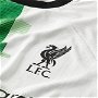Liverpool FC Authentic Away Jersey 2023 2024 Adults