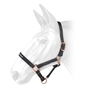 Bradshaw Headcollar 99