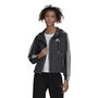 BSC 3 Stripes Wind Jacket Womens