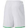 Greuther Furth Home Shorts