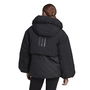 Terrex MYSHELTER COLD.RDY Jacket Womens