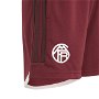 FC Bayern Munich Third Kit Shorts 2023 2024