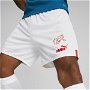 Switzerland Shorts Replica Adults