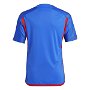 Olympique Lyonnais Away Shirt 2023 2024 Juniors