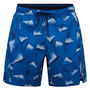 Graphic Speed 2.0 Shorts Mens Gym Short