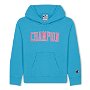 G Hooded Sw Ch99
