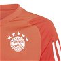 Bayern Munich Training Jersey 2023 2024 Boys