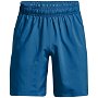 Armour Woven Graphic Shorts Mens
