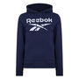 Identity Big Logo Hoodie Mens Hoody