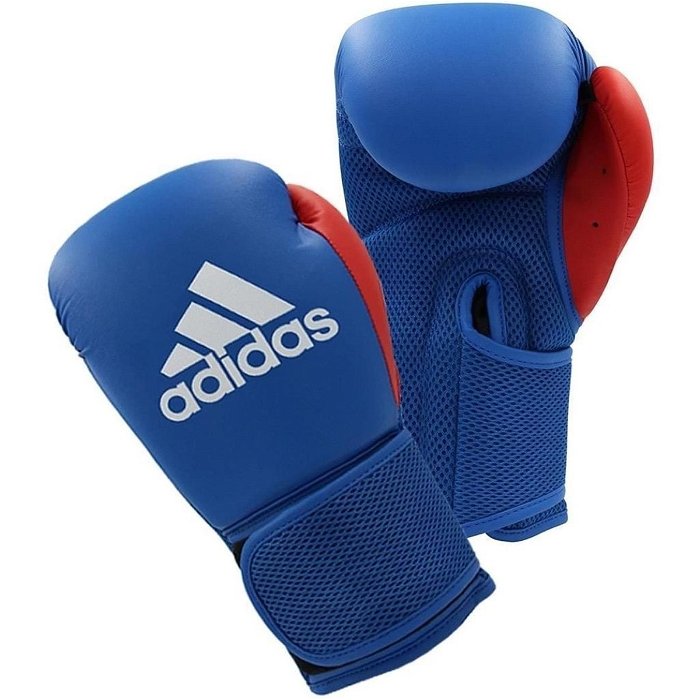 Junior Boxing Gloves 6oz and Focus Mitt Set