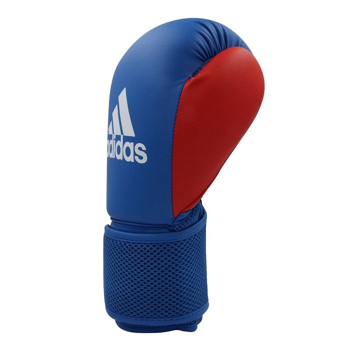 Junior Boxing Gloves 6oz and Focus Mitt Set