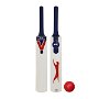 Mini Cricket Bat 43