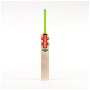 N Tempesta 1.3 200 Cricket Bat