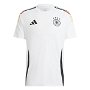 DFB Fan Adults Football Shirt