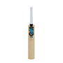 Diamond 101 Cricket Bat